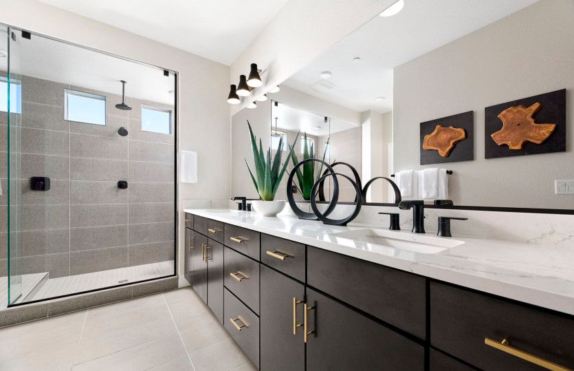 Impressive owner's suite bathroom