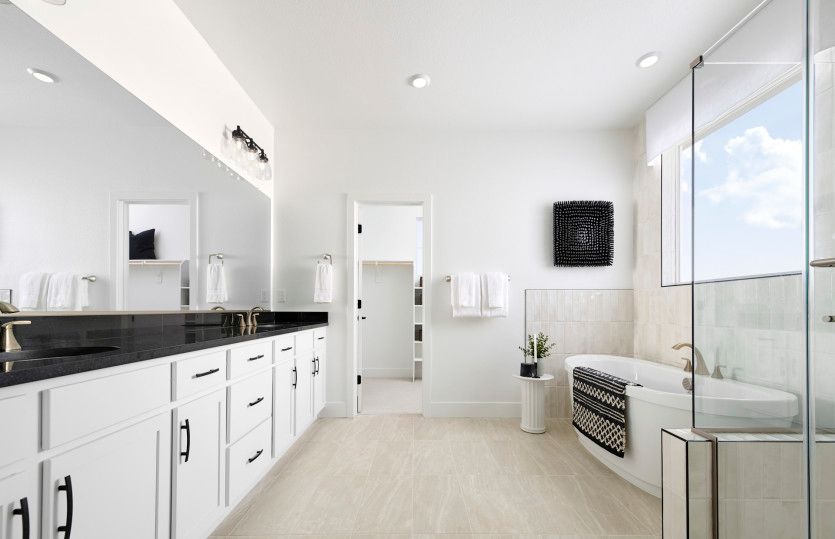 Owner's suite bathroom with a freestanding soaking tub