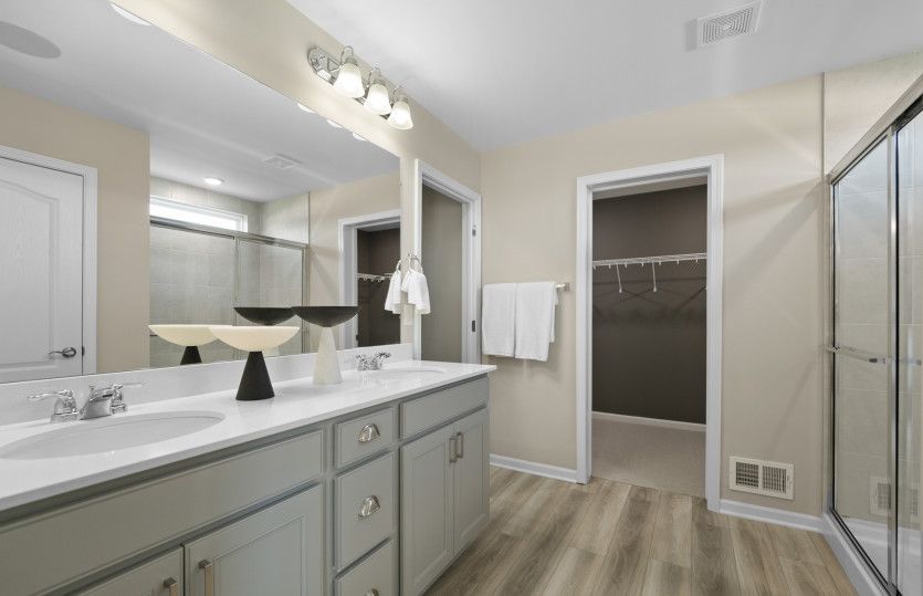 Owner's Bath