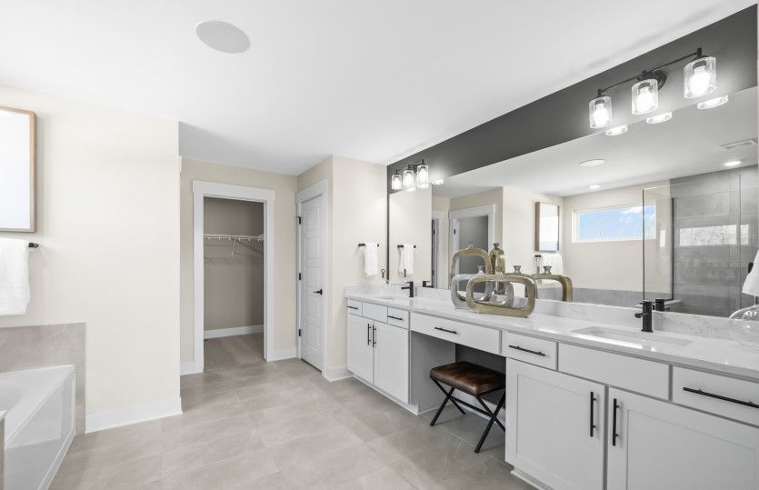 Owner's Bath