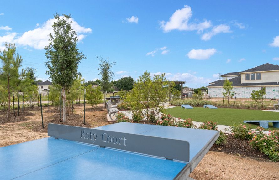 Bring your ping pong paddle!