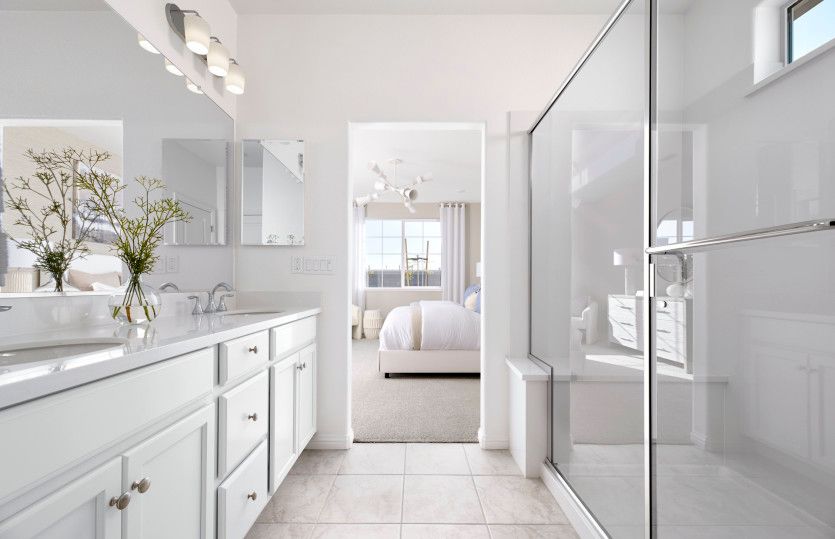 Owner's bathroom with double vanity