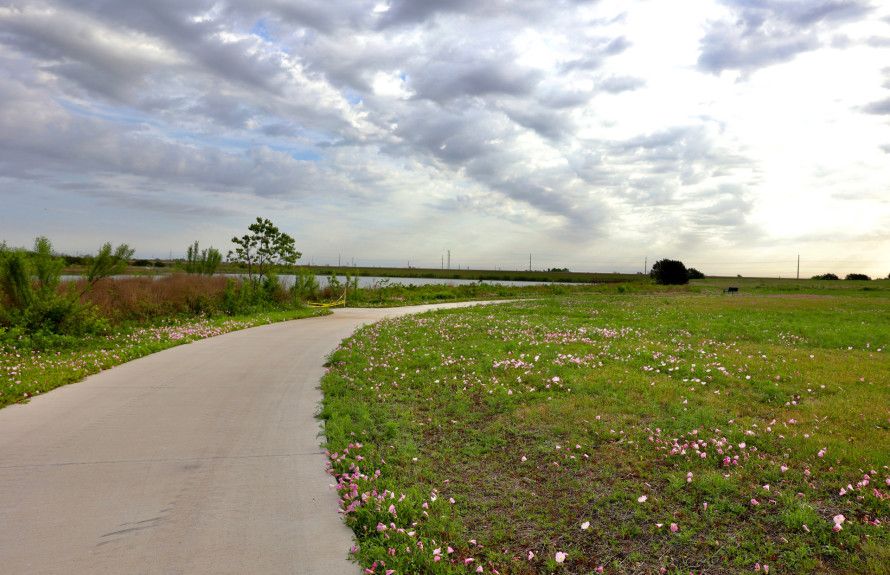 Trails Around the Pond
