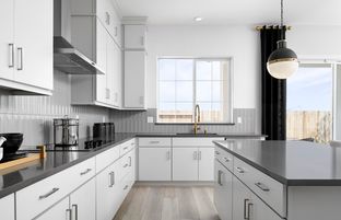 Bristol - Willow at Oakwood Trails: Manteca, California - Pulte Homes