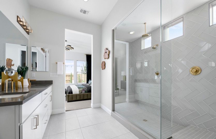 Owner's bath with beautiful walk-in shower