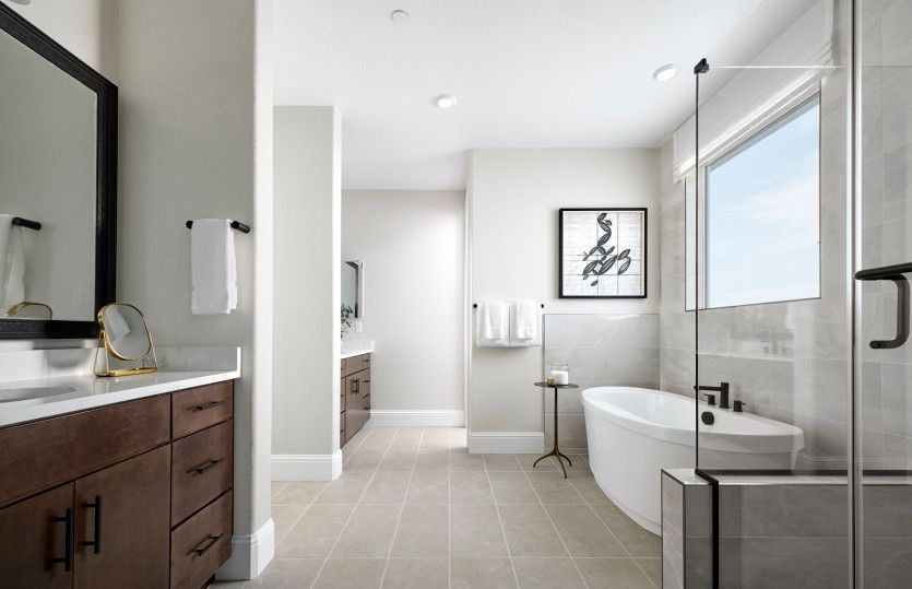Owner's suite bath with freestanding tub and walk-in shower