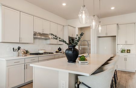 Chef's Kitchen