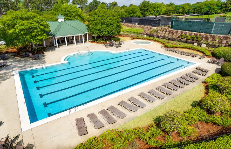 Go for a Swim