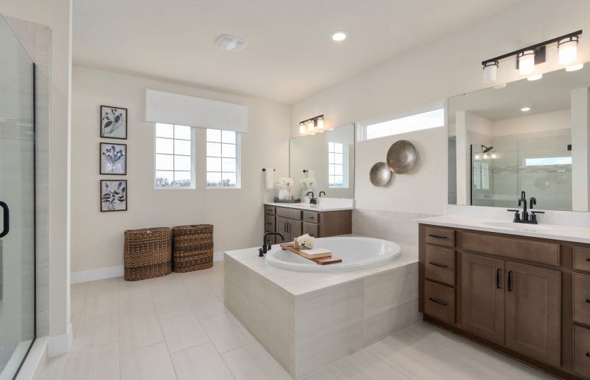 Spa-Like Owner's Retreat