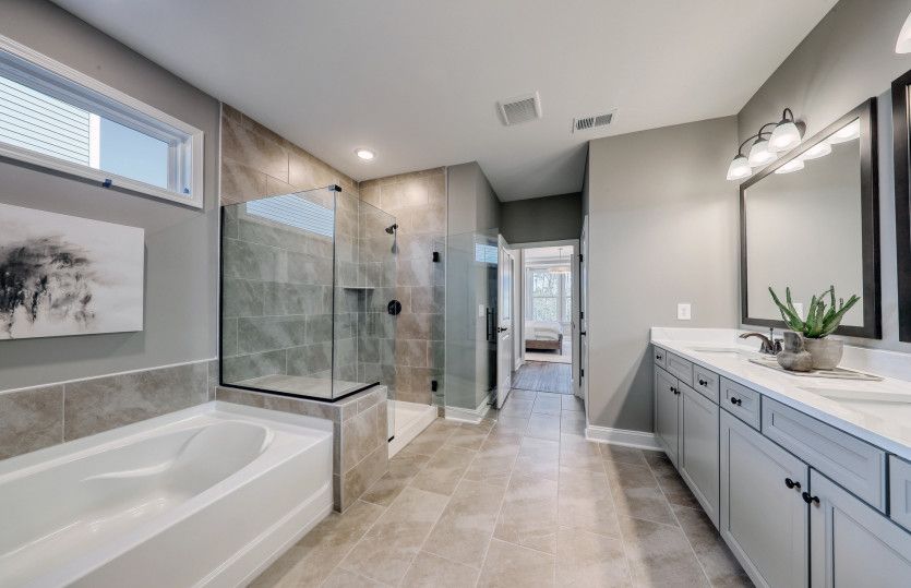 Owner's Bathroom, Model Representation