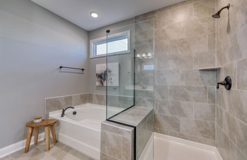 Owner's Bathroom, Model Representation