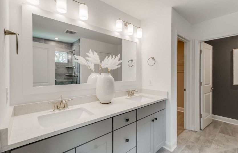 Owner's Bath within the Owner's Suite inclued a dual with a vanity and a large walk-in closet.