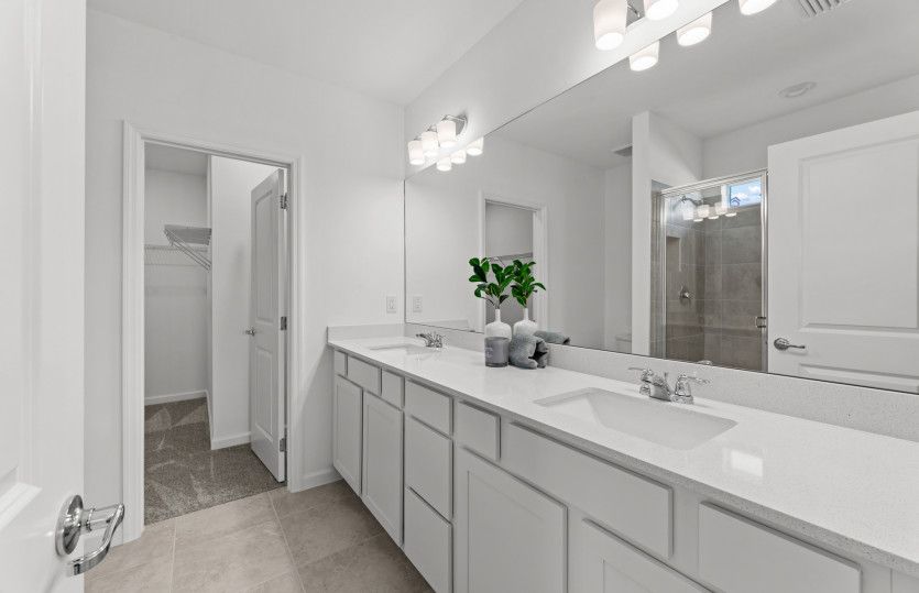 Owner's bathroom