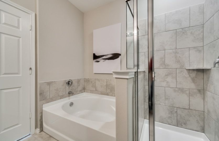 Owner's bath with tub and shower