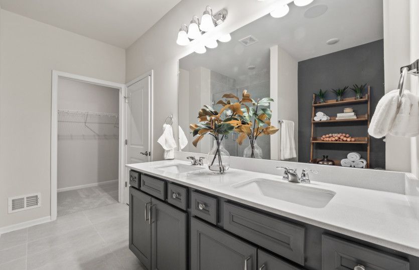 Spa-Like Owner's bath