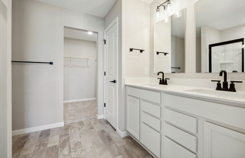 Owner's bathroom