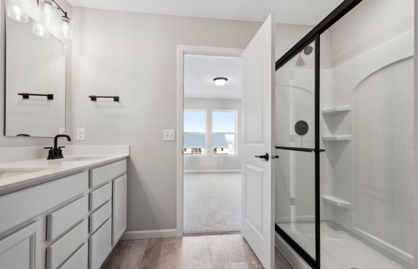 Owner's bathroom