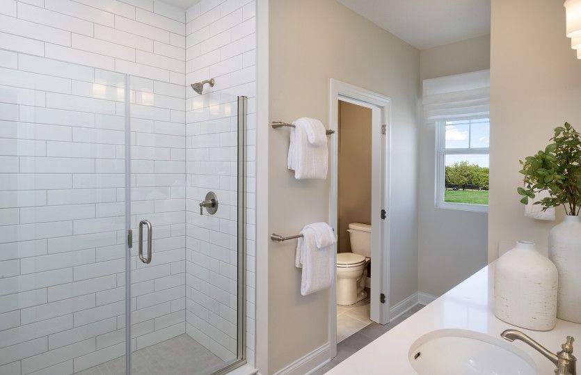 Owner's Bath