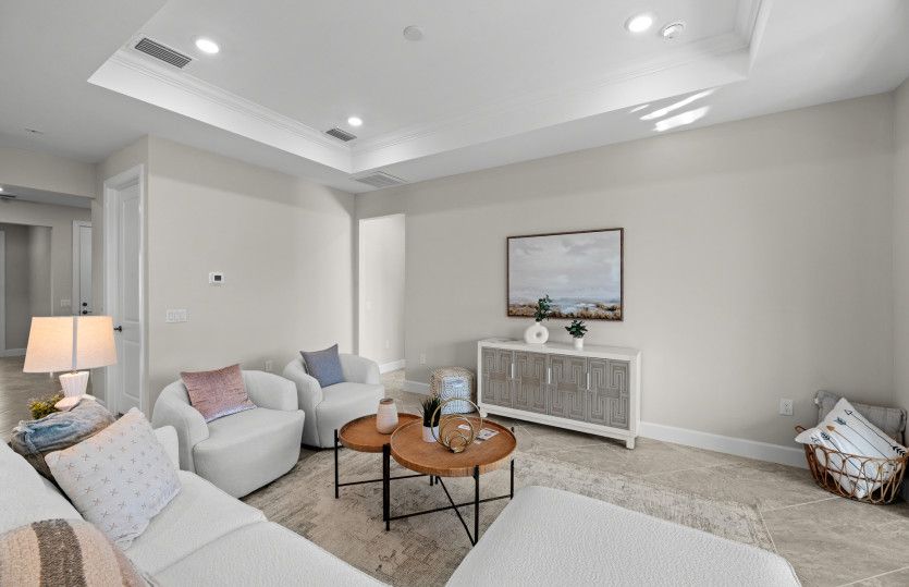 Gathering room with tray ceiling detail