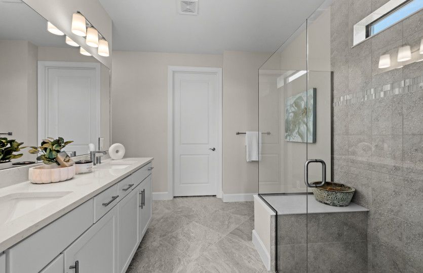 Owner's bathroom