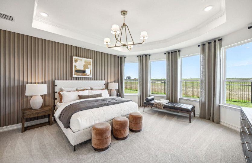 Owner's Suite with Bay Windows and Tray Ceiling