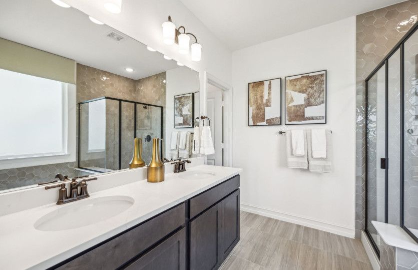 Double Vanity Sinks in Owner's Bath