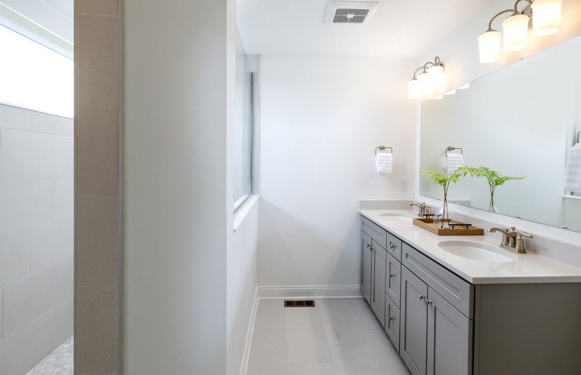 Owner's Bath