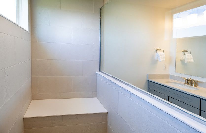 Owner's Bath