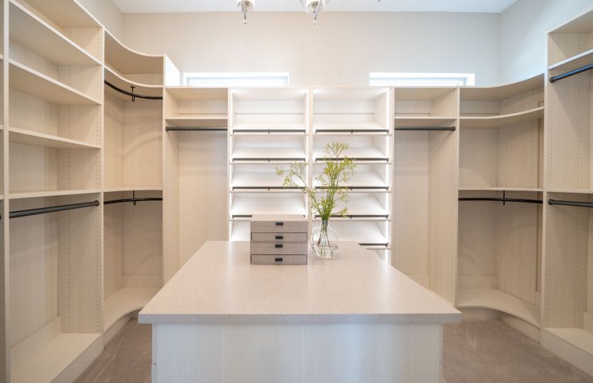 Owner's Closet