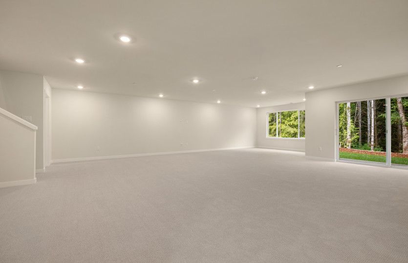 Daylight Basement