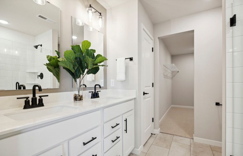 Owner's Bath