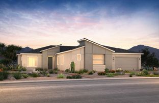 Royalty - Daylight: Las Vegas, Nevada - Pulte Homes