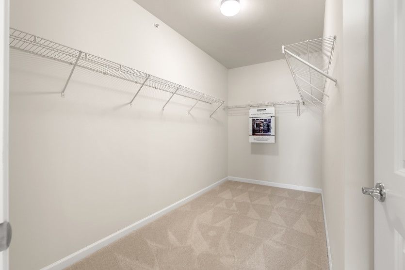 Ample Closet Space