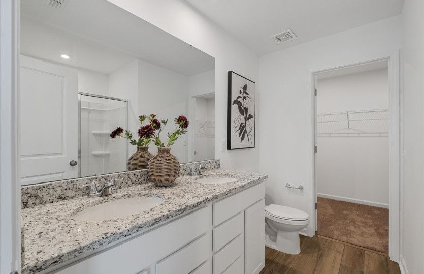 Owner's Bath