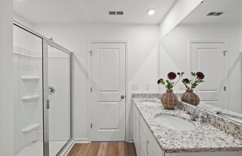 Owner's Bath