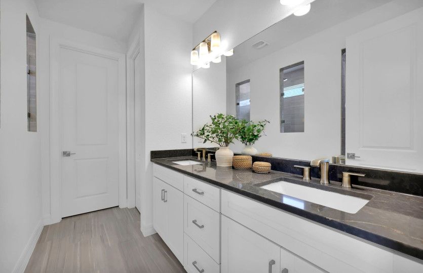 Easley | Owner's Bathroom