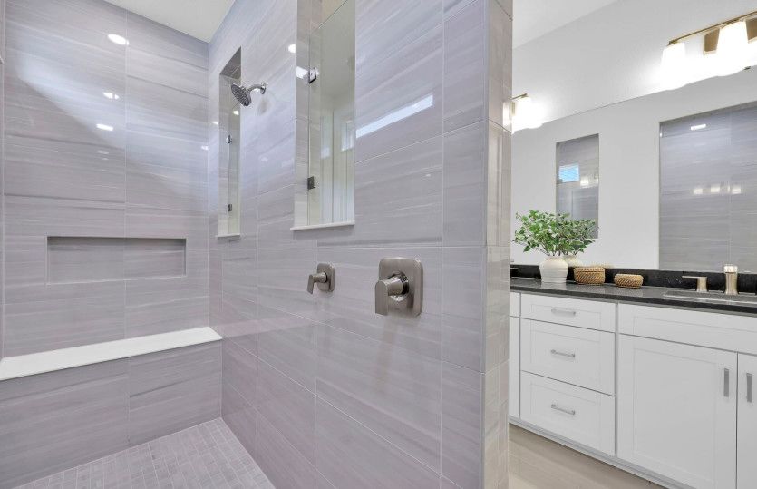 Easley | Owner's Shower