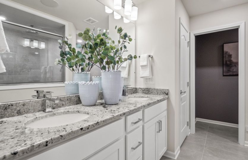 Luxe Owner's Bath