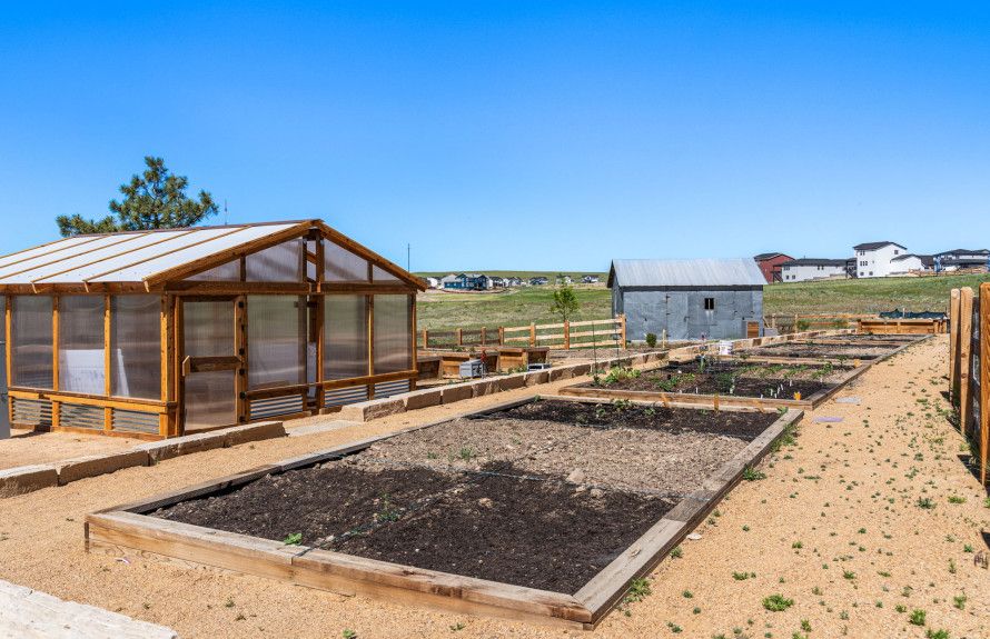 Community Garden