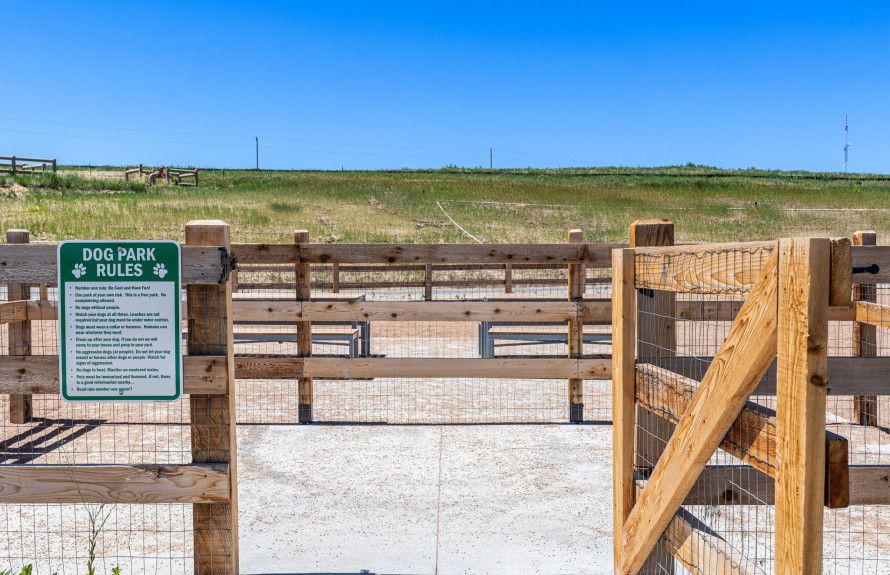 Spacious Dog Park