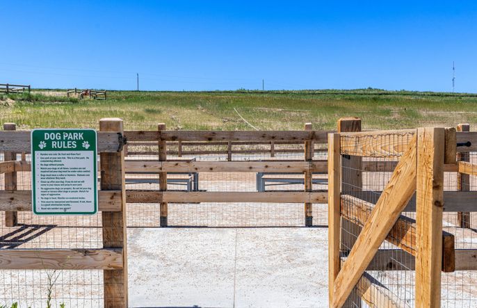 Spacious Dog Park