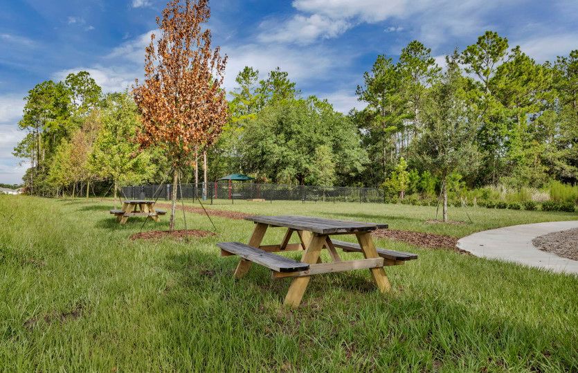 Picnic Tables