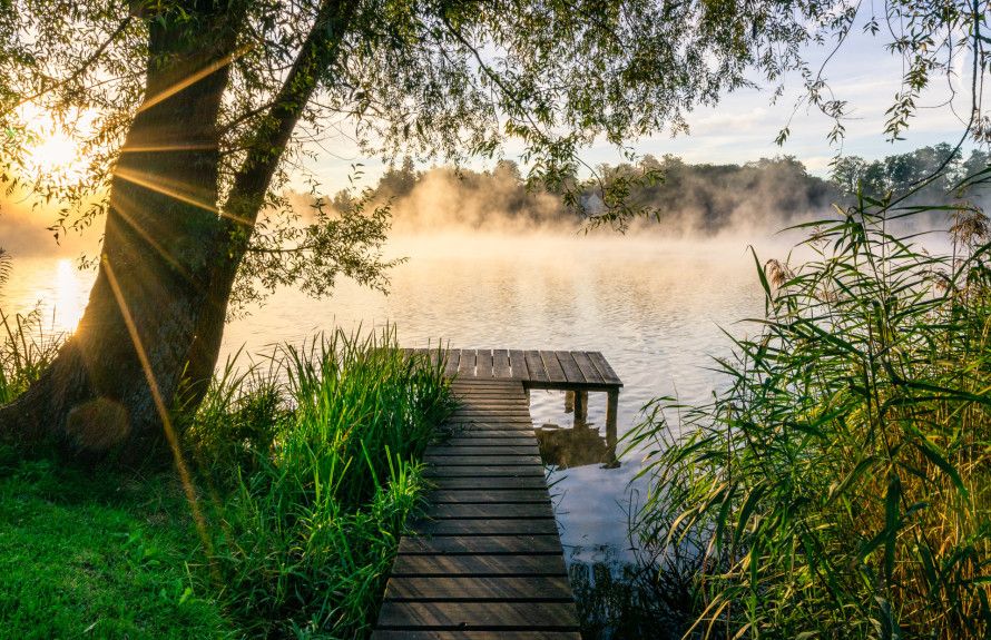 Serene Beauty