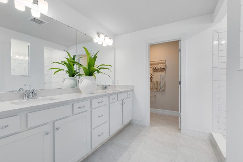 Owner's Bath