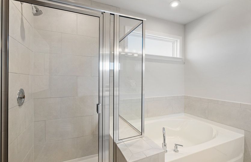Owner's Bath