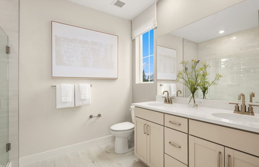 Owner's Bath