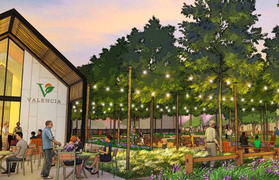 Community Event Lawn