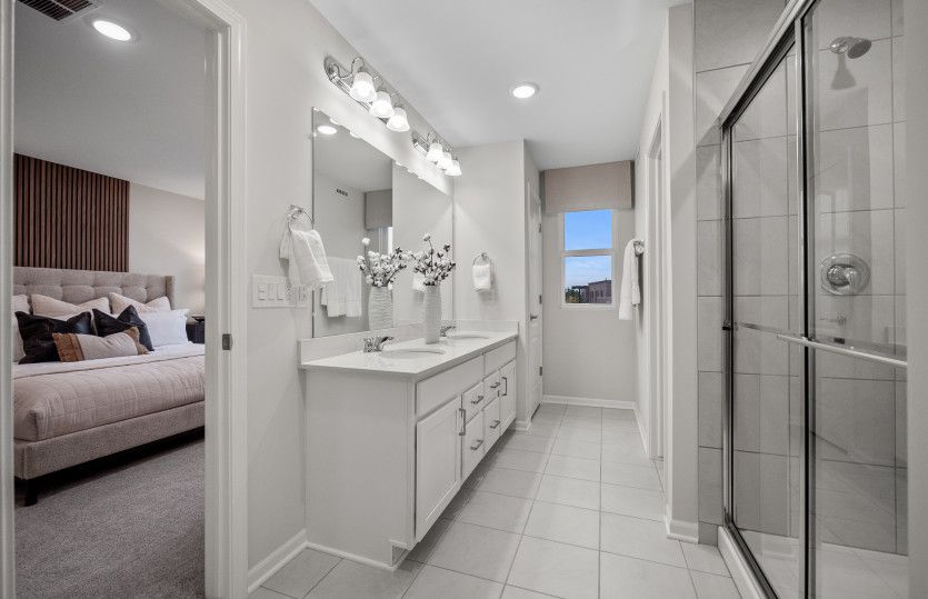 Owner's Bath