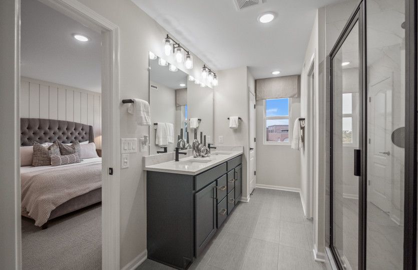 Luxe Owner's Bath