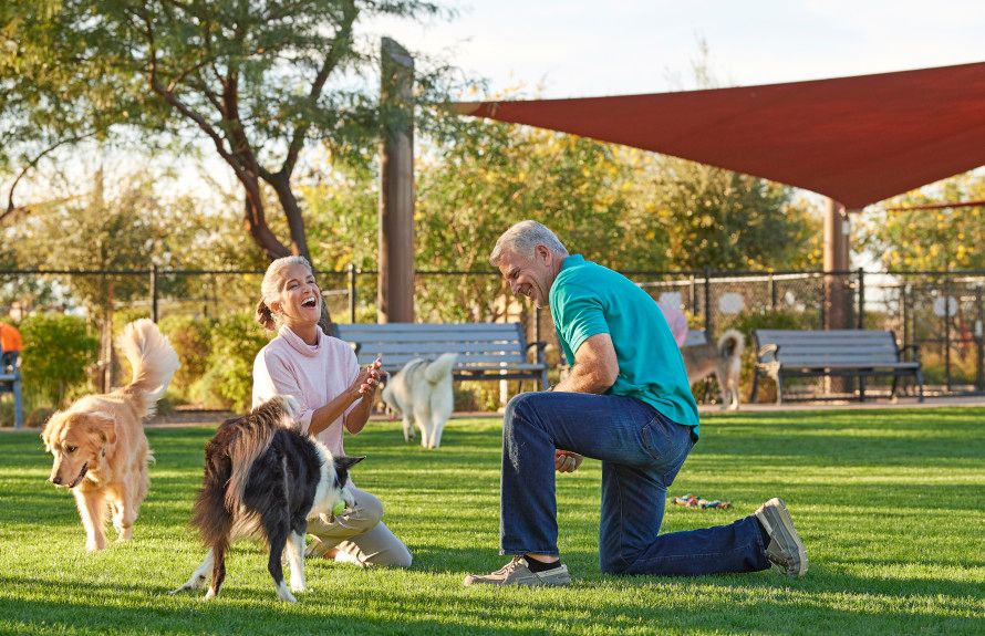 Dog Friendly Community